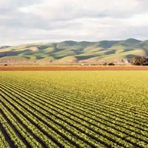 Tendências do Agro 2022